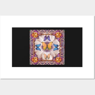 Lace Butterfly Hole Posters and Art